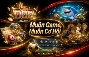 hokoinvestments category game